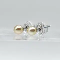 Item thumbnail for item 5f9bd0bb-d9d5-42ae-980f-d380195c2035