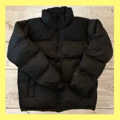 【限定モデル】 THE NORTH FACE ノースフェイス ヌプシ ダウン
