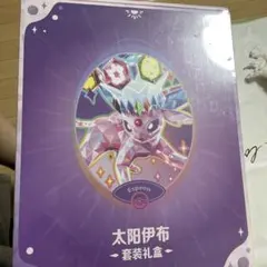 中国限定 ポケモン イーブイやブラッキーなど 金属製マグネット9つ