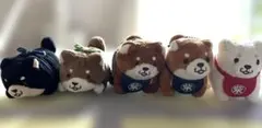忠犬もちしば ぬいぐるみ マスコット 5種セット