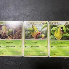 ポケモンカード マダツボミ ウツドン ウツボット L3