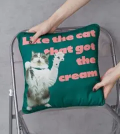 新品⭐Pechanko Catsクッション