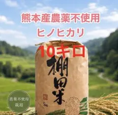無肥料・減農薬】熊本県産 ヒノヒカリ 玄米 20kg｜令和7年度産｜農家