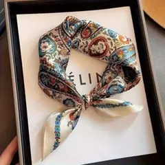 Item thumbnail for item 5a510937-1f5d-48ad-b775-88e839559bb0