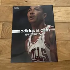 [Not for sale] NBA Derrick Rose Chicago Bulls Adidas Clear File