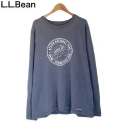 エルエルビーン　プリント　長袖　ロンT　Tシャツ　丸首　メンズ　ロゴ　刺繍　XL