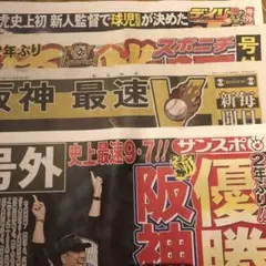 阪神優勝おめでとう　号外４種セット