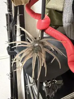 コイケフルキャスト　ソフトマテリアルのサムネイル