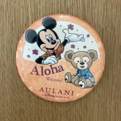 ディズニーアウラニ　ピンバッジ