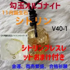 2026年最新】CITRON アクセサリーの人気アイテム - メルカリ