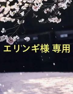 Item thumbnail for item d529a507-202d-4682-a7e8-a8b6ce3b6eb3