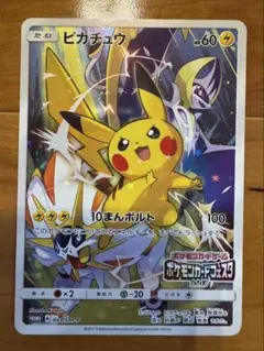 ピカチュウ　ポケモンカードフェスタ ポケカ】ピカチュウ: プロモ(ポケモンカードフェスタ2017)の最新相場
