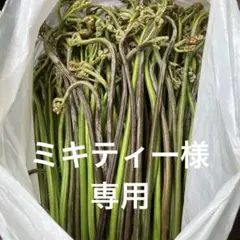 山菜　わらび　アケビの芽セット　ミキティー様専用