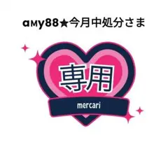 aмy88✮今月中処分さま専用です
