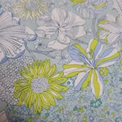 MiwaMasa様 リクエスト 2点 リバティタナローンおまとめ商品