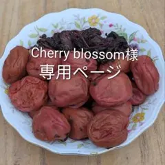 【Cherry blossom様専用ページ】南高梅【2L〜3L】（500g）✕２のサムネイル