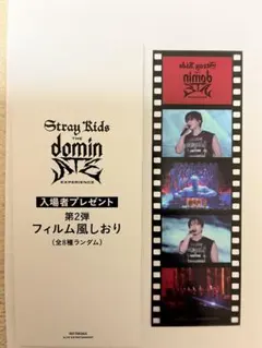StrayKids dominATE EXPERIENCE 入場特典 チャンビン