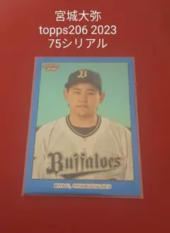2026年最新】topps206の人気アイテム - メルカリ