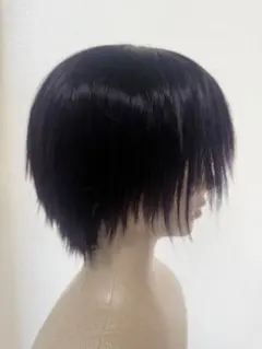 銀魂 高杉晋助 コスプレ ウィッグ