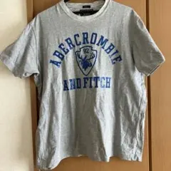 Abercrombie and Fitch Tシャツ グレー