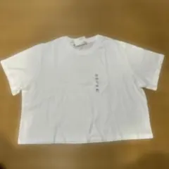 UNIQLO スラブジャージー クロップドT 半袖 ホワイト XXL