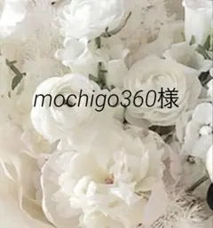 mochigo360様 リクエスト 6点 まとめ商品