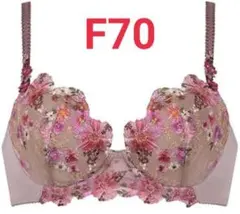 ウィング レシアジュ ブラウン F70 2850シリーズ PB2850のサムネイル
