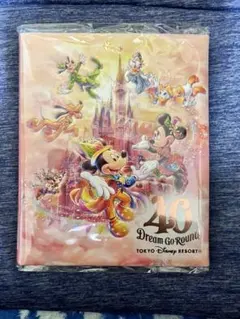 ディズニーランド 40周年 スーベニアメダルケース