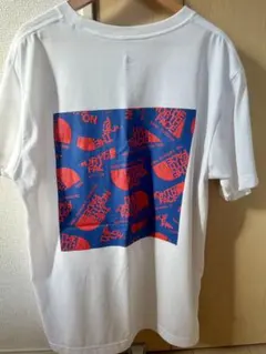 THE NORTH FACE Tシャツ Lサイズ　ノースフェイス