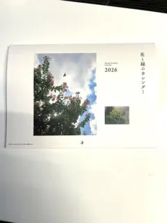 Item thumbnail for item 265e3f8a-ebfd-46e0-b78e-50c8943b8e5c