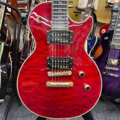 【12628】Epiphone Les Paul Custom Prophecy