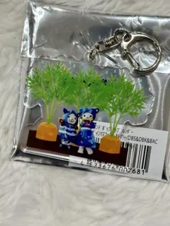 ベイスターズ　マスコットポップアップカレンダーアクキー　スターマン　にんじん