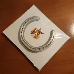 【本物の蹄鉄】馬蹄