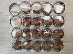 鬼滅の刃 柱稽古編 リアルタイムカフェ 無限城へと 缶バッジ 不死川実弥