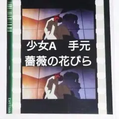 即購入OK まどマギ ワルプルギスの廻天 フィルム 少女A 手元 薔薇の花びら