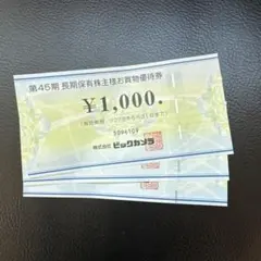 ビックカメラ 株主優待券 3000円