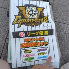関西スポーツ新聞 記念5紙セット