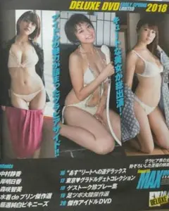 EX MAX DVD 中村静香 岸明日香 森咲智美 高崎聖子 グラビア