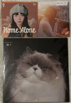 2026年最新】カネコアヤノ 燦々 レコードの人気アイテム - メルカリ