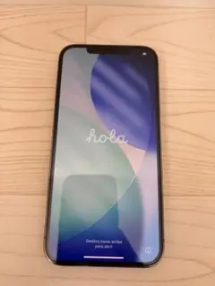 【美品】iPhone 12 pro max グラファイト 128GB本体