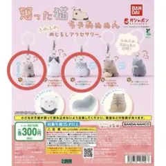 怒った猫ちゃあああん ふわふわめじるしアクセサリー ガチャ 1 3