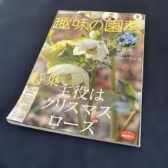 Item thumbnail for item 908aa7b6-6623-4779-a22c-fccc79807c58