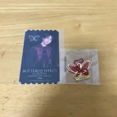 クリアピクチャー 堀夏喜