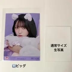 イコラブ 大谷映美里 猫衣装 生写真ビッグ - メルカリ