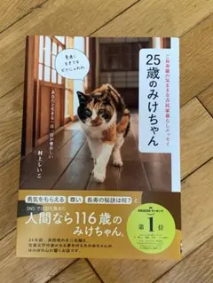 Item thumbnail for item d1a31512-0f79-4760-8a87-0327172c29b8