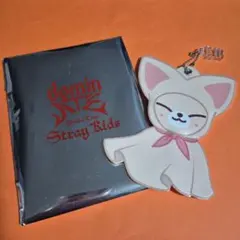 【Stray Kids】 dominATE ミニうちわ フォクシニー　アイエン