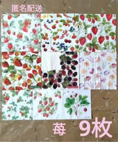 Item thumbnail for item 0299854d-5d67-4621-9ead-ab53413aa0e9