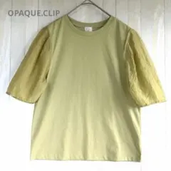 オペークドットクリップ 袖シアー切り替えカットソー Tシャツ M ピスタチオ 緑のサムネイル