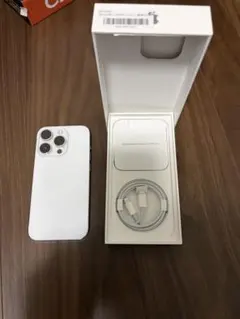 Apple iPhone 14Pro シルバー本体