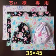 ちぃ様★ランチョンマット【3枚】巾着【2枚】プリンセス、アリス☆35×45